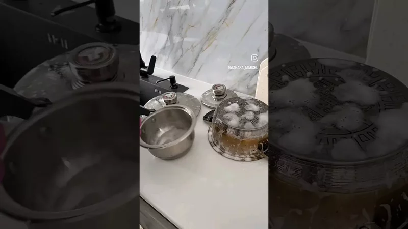 Мой помощник на кухне Sanita анти жир. #какотмыть #sanitizer #лайфхак #shortvideo