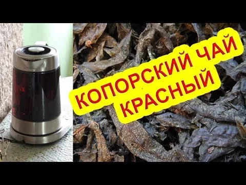 Иван-чай - красный (рубиновый) копорский чай  или "холодная магия". Russian tea.