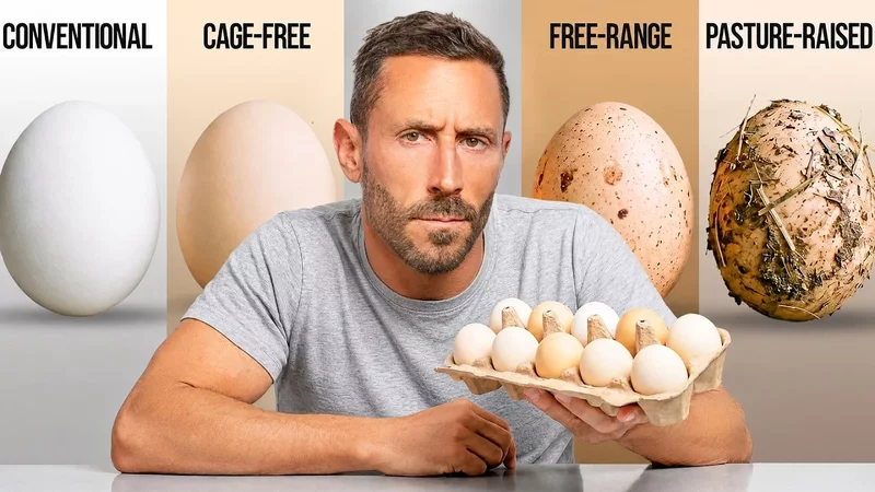 How I Find The Healthiest Eggs in 2026 (Avoid THIS)