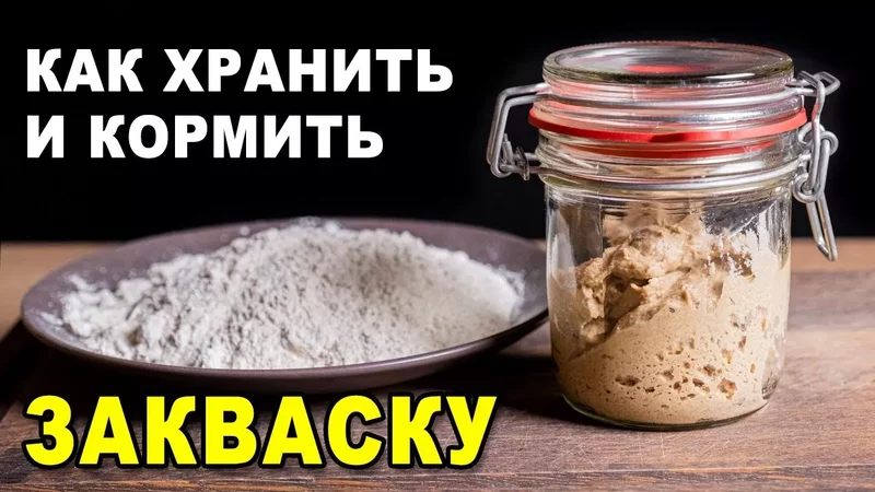Как хранить и кормить вечную ржаную закваску для хлеба: кормление восстановление после холодильника