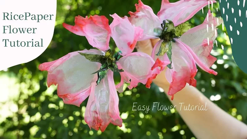 Rice Paper Flower Learn my new design, Lovely Pink Translucent Flower, 2020 cake trends 라이스페이퍼 플라워