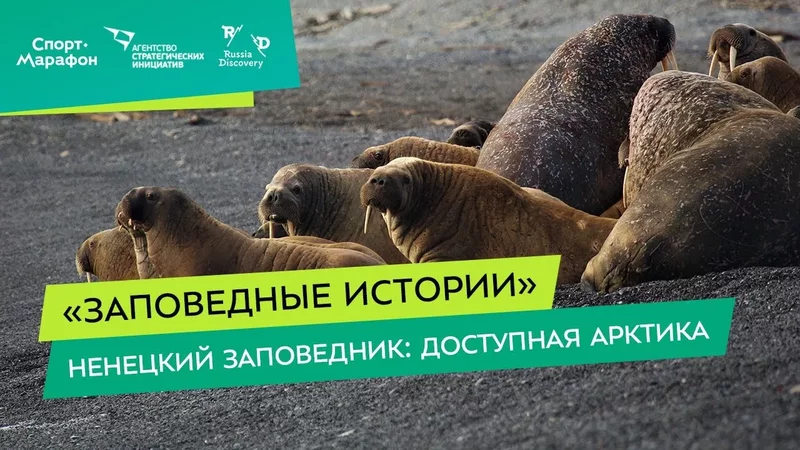 Интересные лекции про путешествия - 3922944