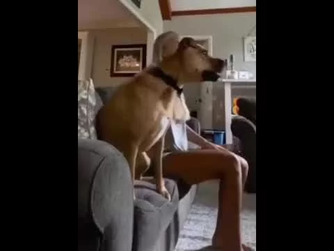 Посмеялся сам - поделись с другом!!!