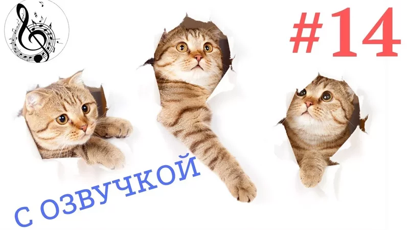 Эти забавные животные - 2672001