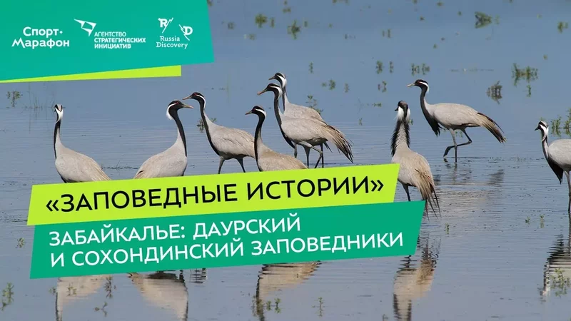Интересные лекции про путешествия - 3922594