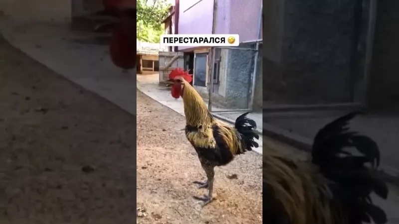 23 сентября 2023 г.