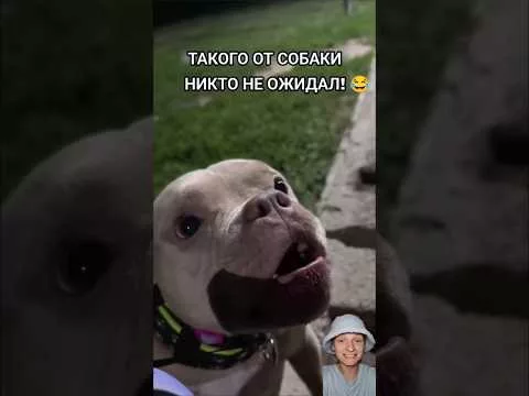ТАКОГО ОТ СОБАКИ НИКТО НЕ ОЖИДАЛ! 