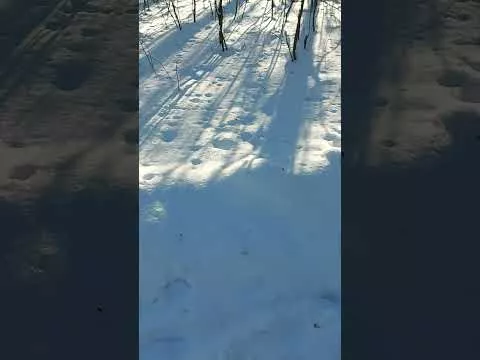 12 января 2024 г.