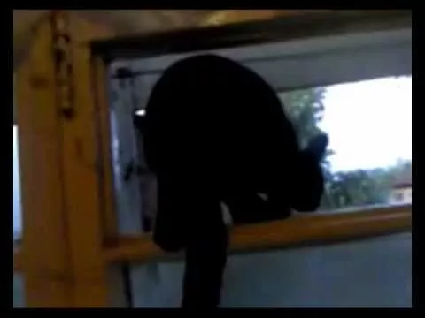 Кот лает, как собака.