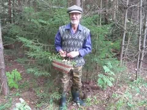 Сказка ложь, да в ней намек - 2869885
