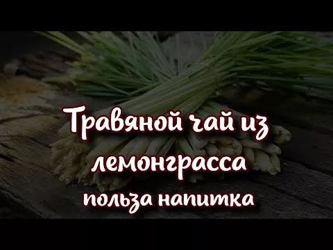 Травяной чай из лемонграсса - неоспоримая польза напитка