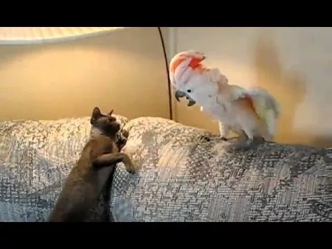 Эти забавные животные - 2932931