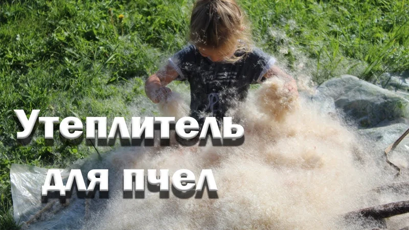 Природный утеплитель для пчел. Подушки из рогоза.