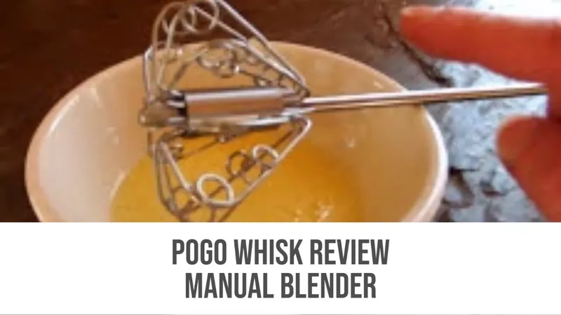 Pogo Whisk Review - Manual blender