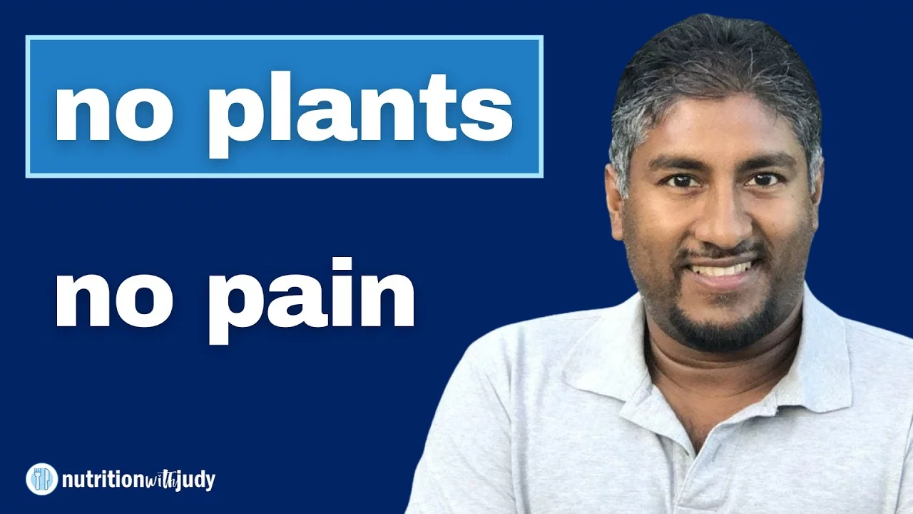 No Plants, No Pain: Biohacking with Carnivore Animal Documentary’s Vinny Lingham