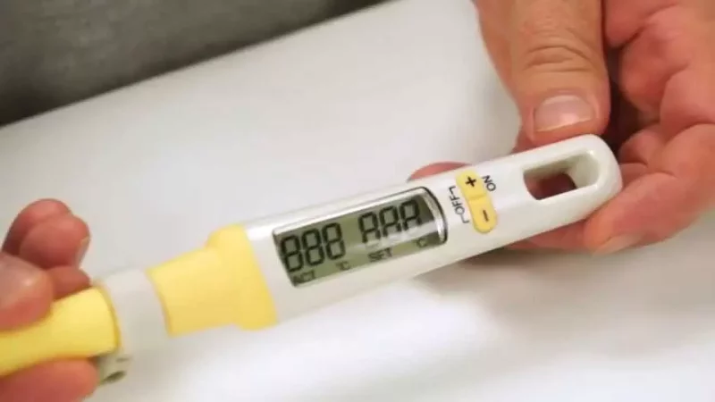 Teploměr digitální se stěrkou DELÍCIA