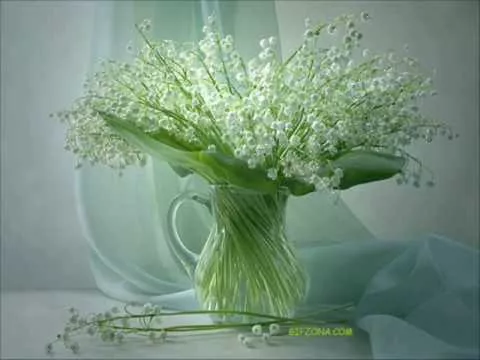 Л.Бетховен-К Элизе