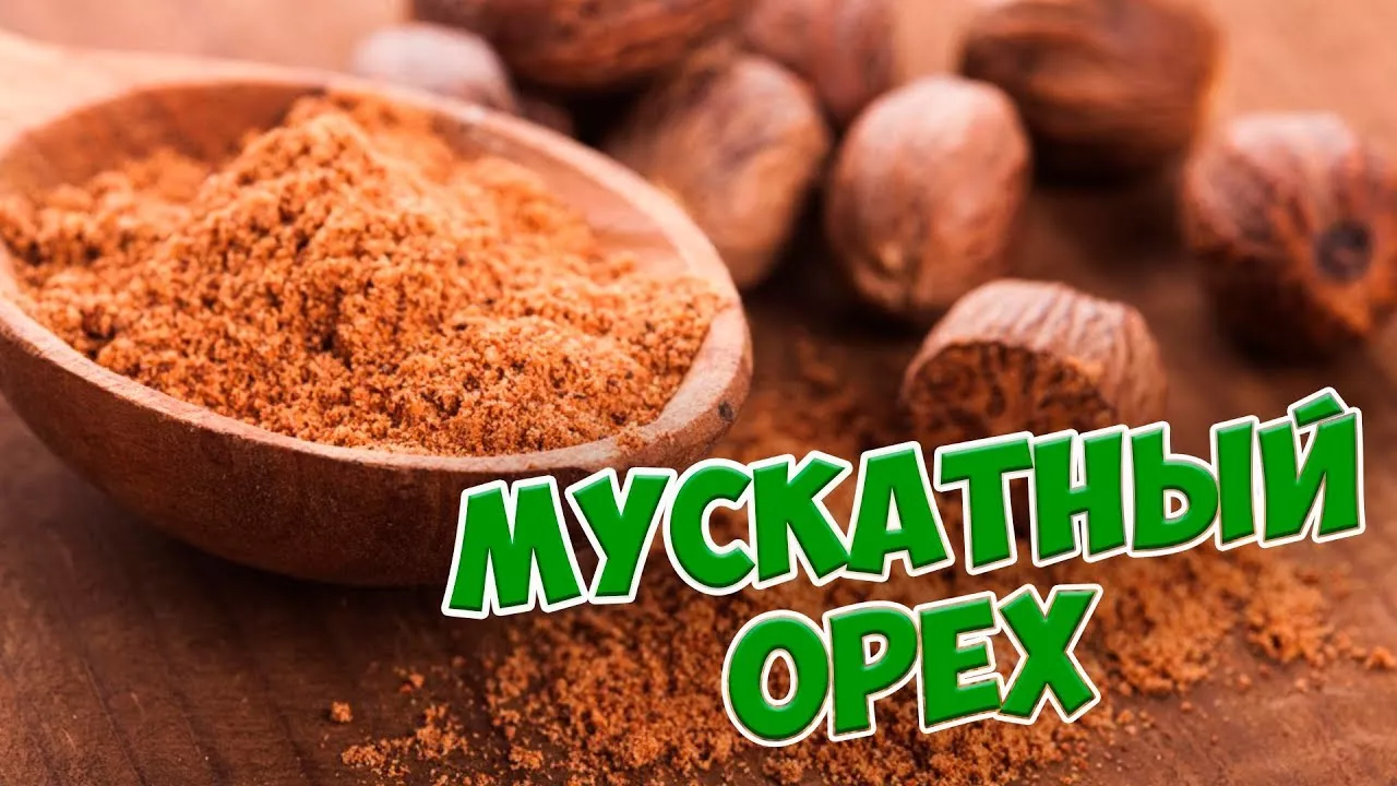 Пряности и приправы МУСКАТНЫЙ ОРЕХ Обзор от HItsadTV