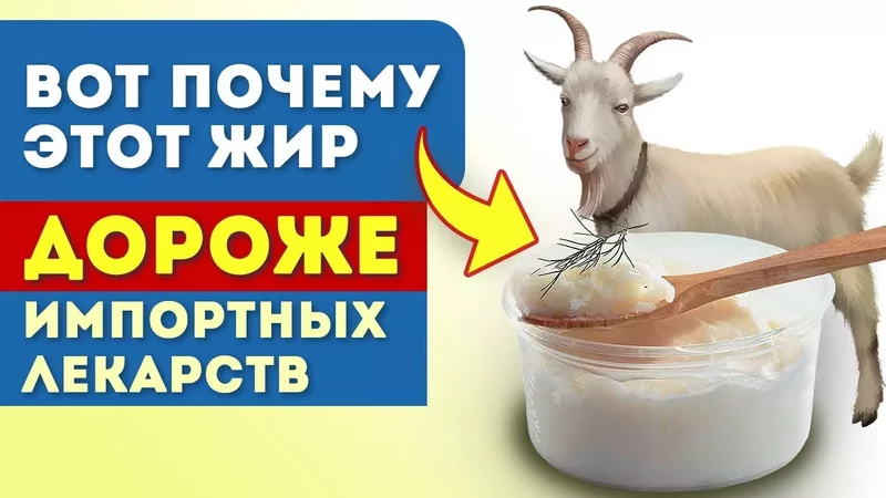 Даже богатые европейцы начали заменять дорогие лекарства козьим жиром