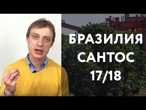 Серия 3. Обзор Бразилия Сантос 17/18 в рекомендованных способах приготовления