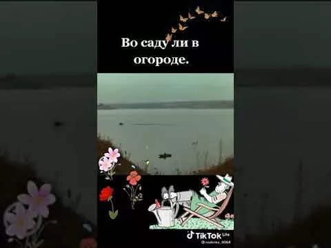 13 июня 2021 г.