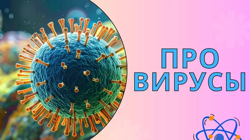 Как еда держит вирусы под контролем. Резистентные вирусы — зеркало образа жизни.