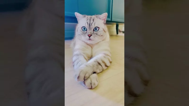 Предупреждение мужикам.