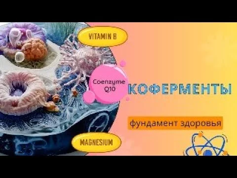 Коферменты: главный секрет энергии, гормонов и мозга