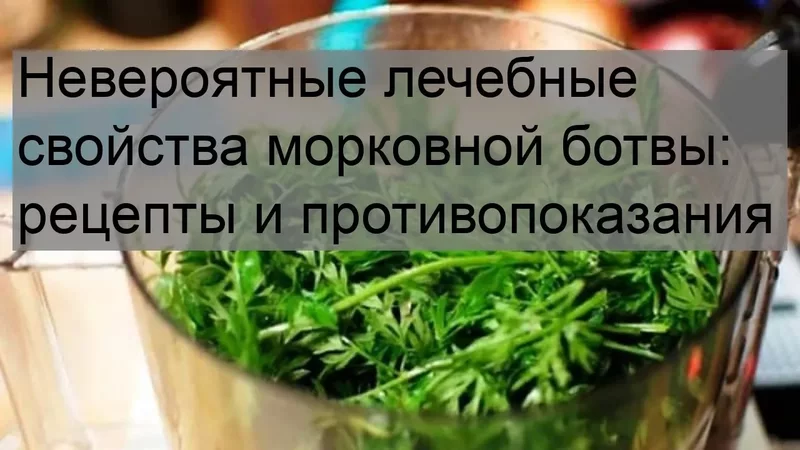 Невероятные лечебные свойства морковной ботвы: рецепты и противопоказания