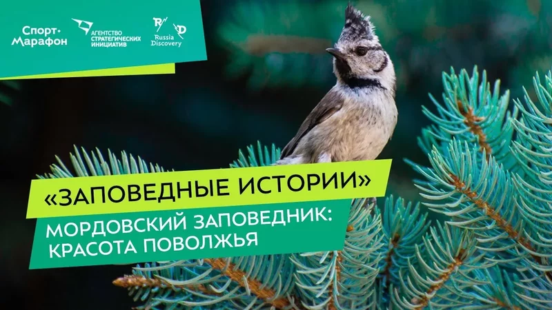 Интересные лекции про путешествия - 3916909