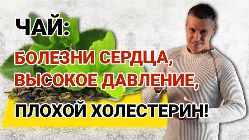 Чай - польза или вред: болезни сердца, высокое давление, плохой холестерин