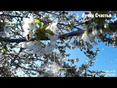 Поздравление с 1 Мая!Красивое поздравление с Первомаем!