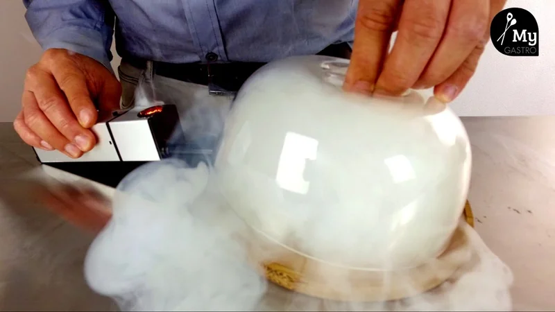 Steba Smoking Box - das mobile Räuchergerät für die Küche - MY-Gastro Smoking Gun Rauchgenerator