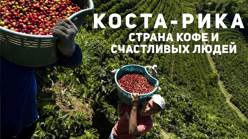 Как кофе попадает к нам на стол? КОСТА-РИКА — страна счастливых людей Производство Кофе