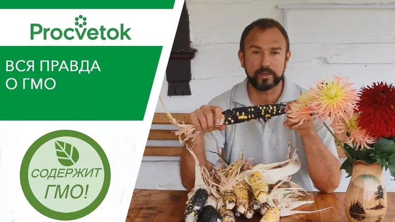 Ешьте, люди, ГМО – будете здоровы?! Точка зрения БИОЛОГА