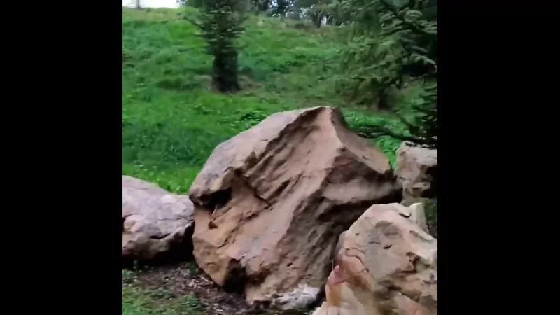 в гостях