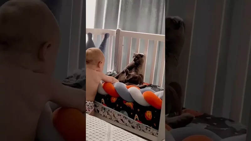 Лучше прикинуться мебелью