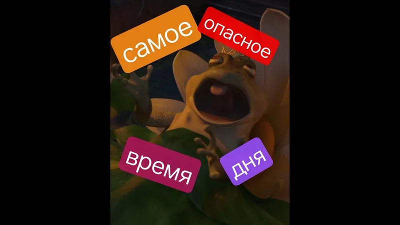 Самое опасное время дня #карнивор #медицина