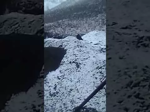 4 октября 2021 г.