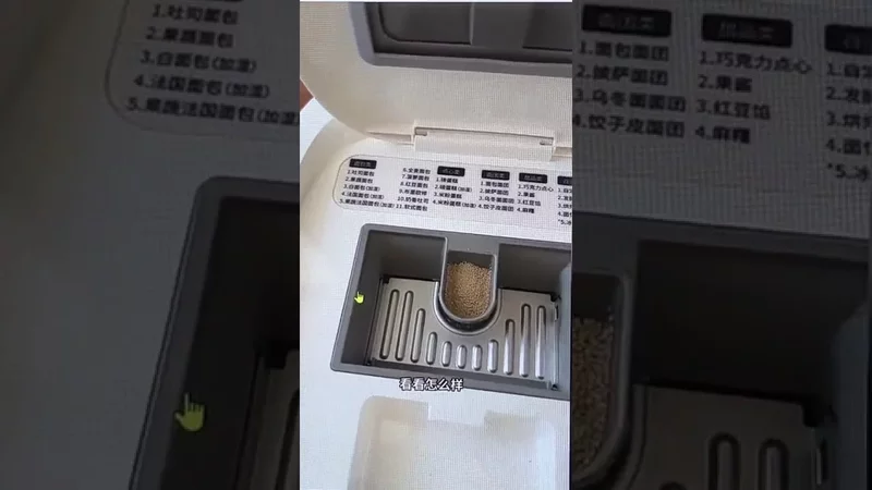 WhatsApp Video 2026 03 08 at 19 38 11