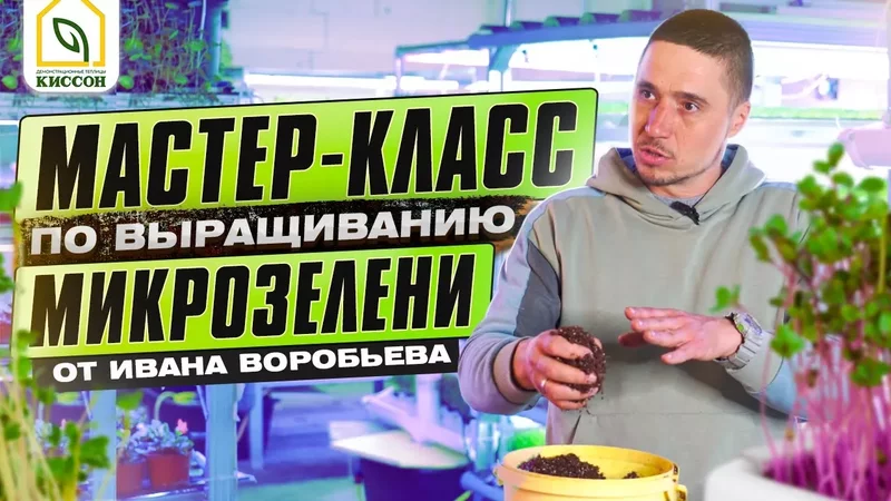 Микрозелень. Мастер-класс по выращиванию микрозелени от Ивана Воробьева.