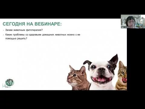 Вебинар О. Алексеева
