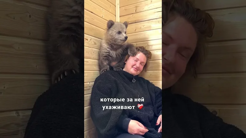 Маленькую медведицу Дыньку познакомили с новым другомМаленькая косолапая