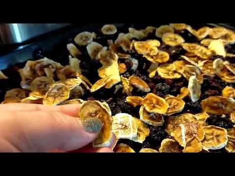 Обзор сушилки для овощей и фруктов kitfort KT 1903