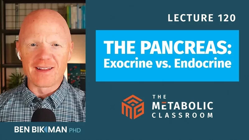 120: The Pancreas - Our Most Underrated М⃰bolic Organ & Why Its Health is Vital w/ Dr. Ben Bikman