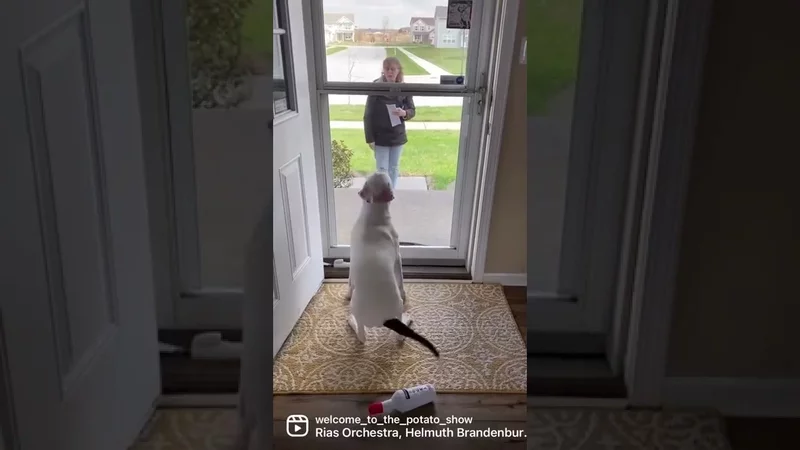 When he sees Grandma