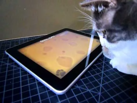 iggy tries a game for cats