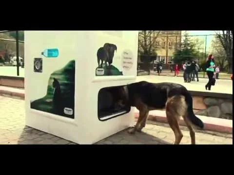 Эти забавные животные - 2517579