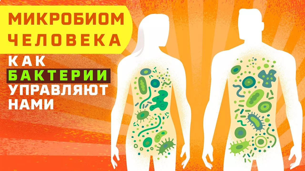 Микробиом человека - что это такое? Как бактерии управляют нами? Микрофлора кишечника Да Но
