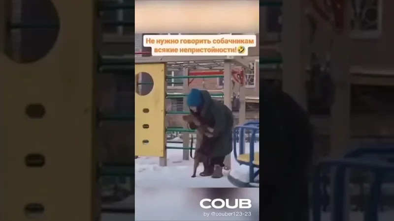#comedy #dog #юмор #прикол #пес